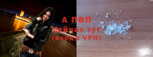 амф Богданович