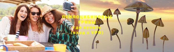 амф Богданович