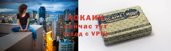 мдпв Богородск