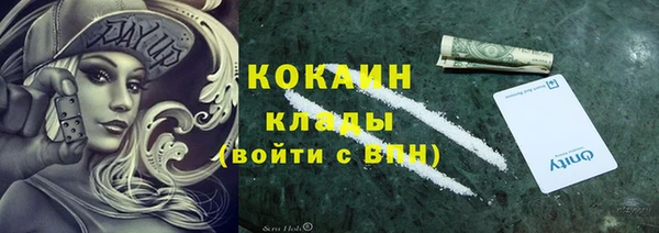 амф Богданович
