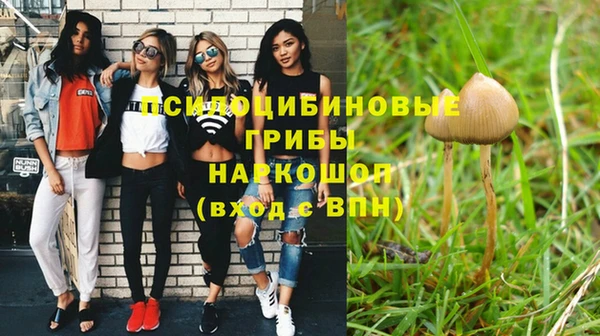 мдпв Богородск