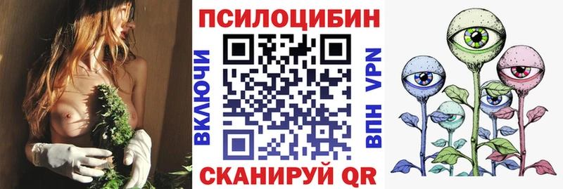Псилоцибиновые грибы Psilocybine cubensis  Купить где  Краснознаменск 